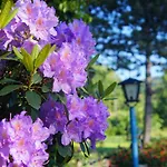 Lejlighed Dom Na Przedgorzu-spokojny Blisko Gorskich Tras *