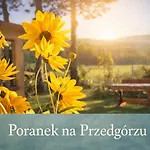 Dom na Przedgórzu-Apartamenty z widokiem na Góry Izerskie