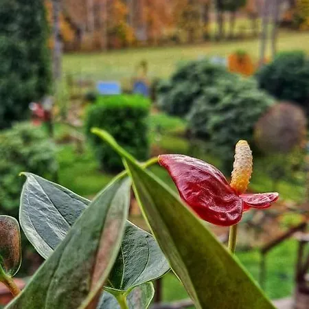 Apartamento Dom Na Przedgórzu-mountain