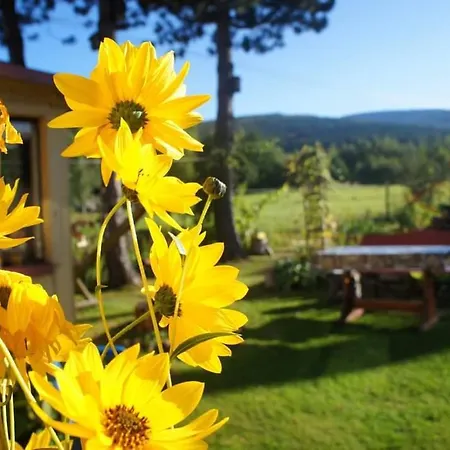 Dom Na Przedgórzu-mountain *