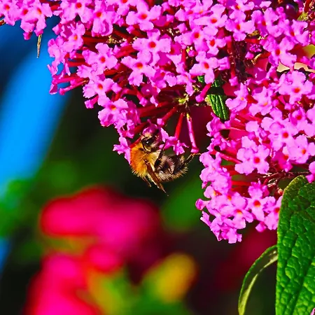 Dom Na Przedgórzu-mountain