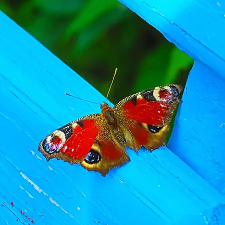 Dom Na Przedgorzu - Z Widokiem Na Gory Świeradów-Zdrój