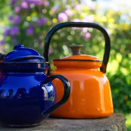 Dom Na Przedgórzu - Widok Na Góry - Quiet&relax Apartamento *