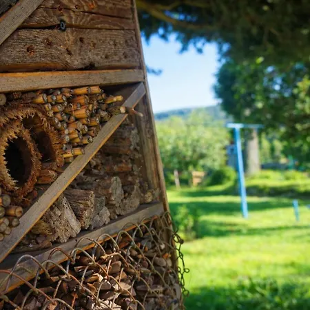 Dom Na Przedgorzu-apartamenty Z Widokiem Na Gory Izerskie *