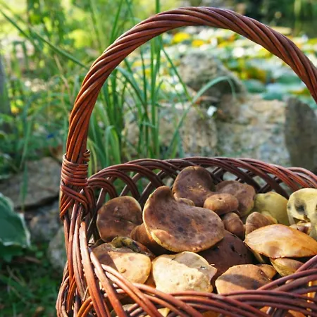 Dom Na Przedgórzu - Widok Na Góry - Quiet&relax Apartamento Świeradów-Zdrój