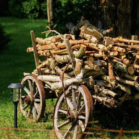 Dom Na Przedgorzu-apartamenty Z Widokiem Na Gory Izerskie *