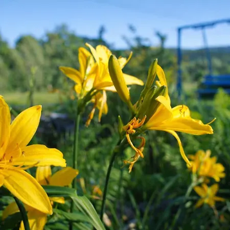 Dom Na Przedgorzu-apartamenty Z Widokiem Na Gory Izerskie 아파트