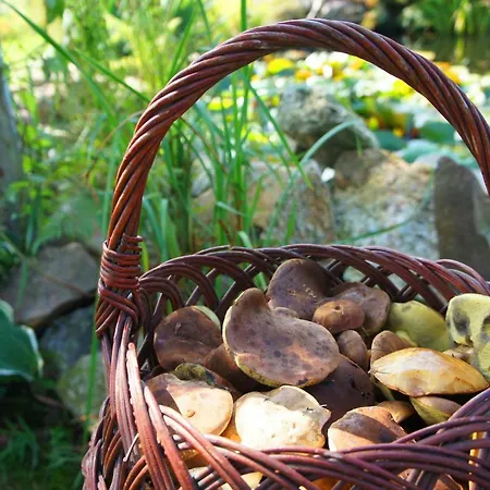 Dom Na Przedgorzu - Widok Na Gory *