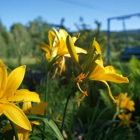 Dom Na Przedgorzu - Widok Na Gory Świeradów-Zdrój