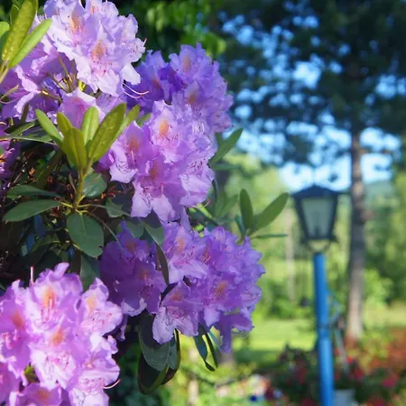 Dom Na Przedgórzu-mountain *