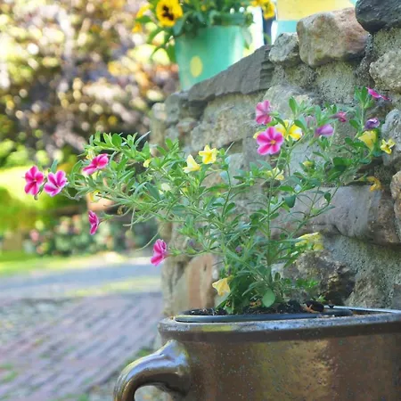 Dom Na Przedgórzu-mountain