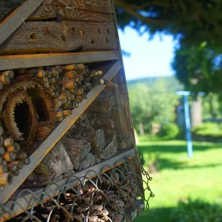Dom Na Przedgórzu-mountain Apartamento