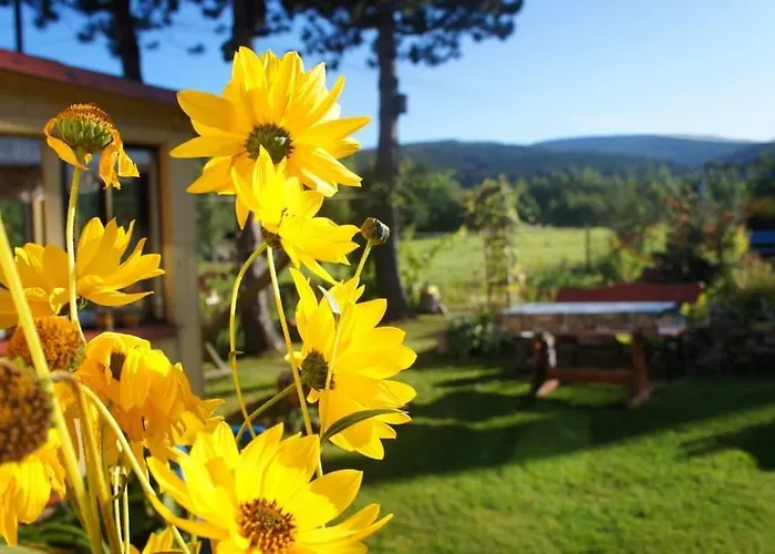 Dom Na Przedgórzu - Z Widokiem Na Góry *