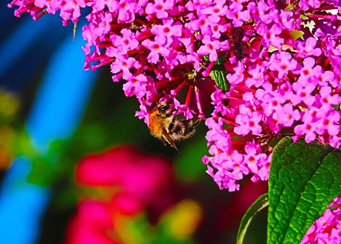 Dom Na Przedgórzu - Z Widokiem Na Góry