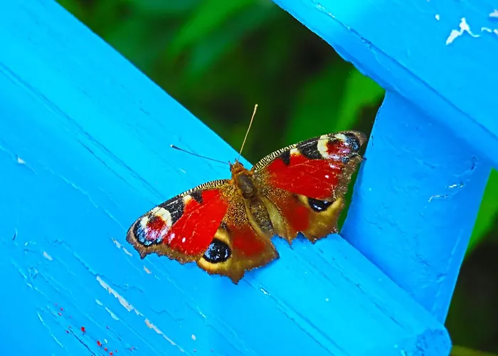Dom Na Przedgórzu - Z Widokiem Na Góry Świeradów-Zdrój