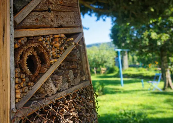 Dom Na Przedgorzu-apartamenty Z Widokiem Na Gory Izerskie *
