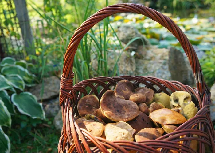 Dom Na Przedgorzu-Spokojny Pobyt Blisko Gorskich Tras Apartmán Świeradów-Zdrój