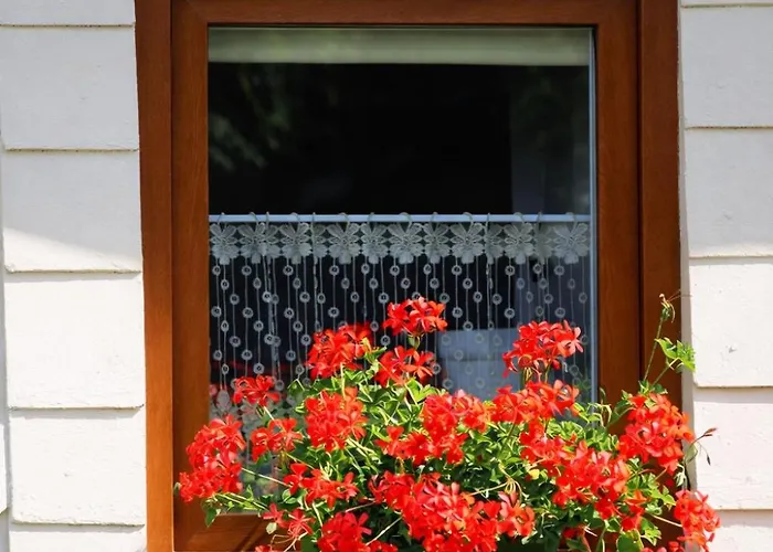 Dom Na Przedgorzu-apartamenty Z Widokiem Na Gory Izerskie * Świeradów-Zdrój