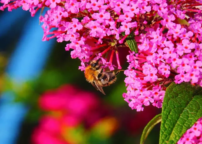 Dom Na Przedgórzu - Widok Na Góry - Quiet&relax