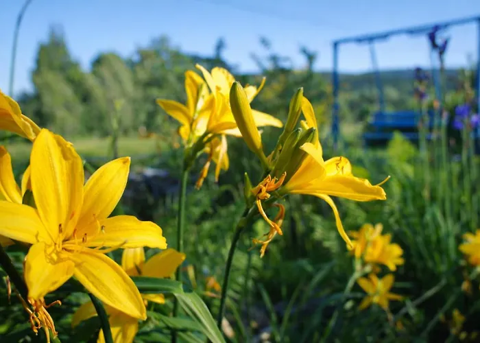 Dom Na Przedgorzu-apartamenty Z Widokiem Na Gory Izerskie 아파트