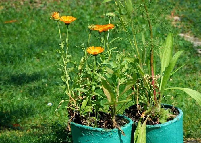 Apartmán Dom Na Przedgorzu-Spokojny Pobyt Blisko Gorskich Tras