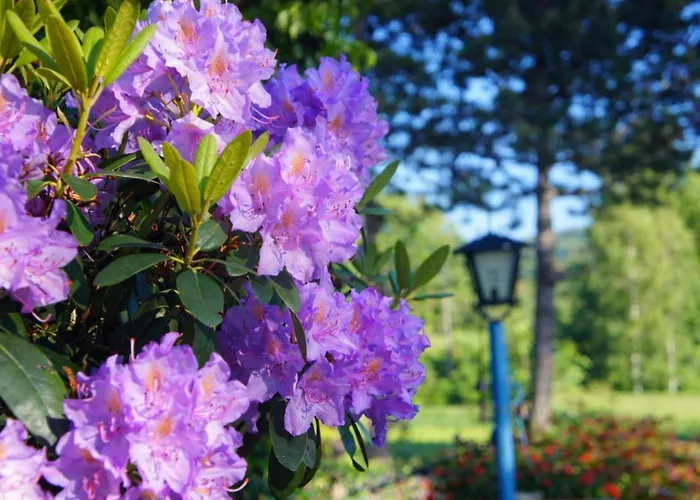 Apartmán Dom Na Przedgorzu-Spokojny Pobyt Blisko Gorskich Tras *