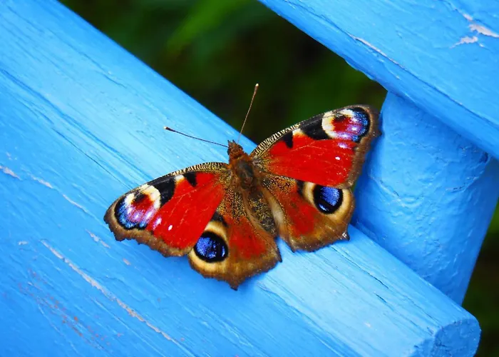 Dom Na Przedgórzu - Widok Na Góry - Quiet&relax *