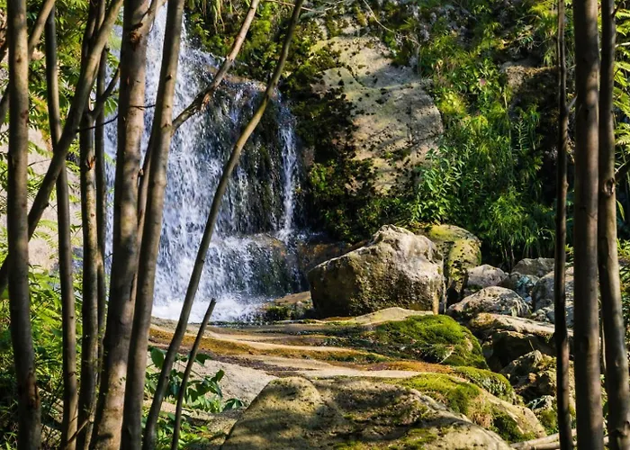 Apartmán Dom Na Przedgorzu-Spokojny Pobyt Blisko Gorskich Tras Świeradów-Zdrój