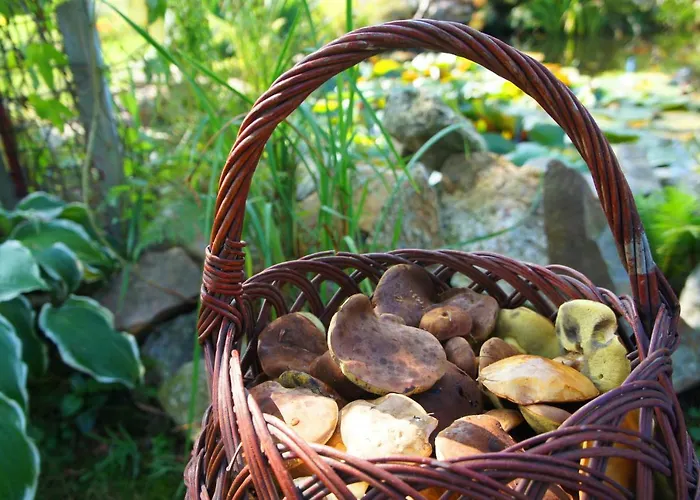 Dom Na Przedgórzu - Widok Na Góry - Quiet&relax *