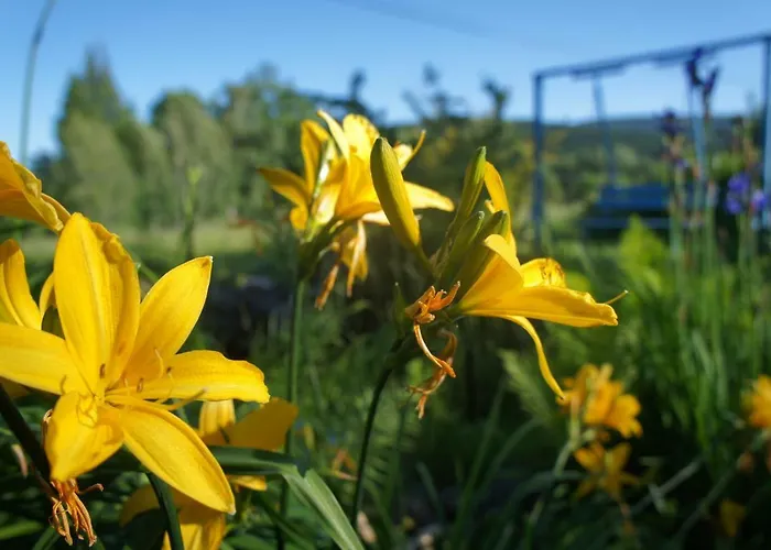 Dom Na Przedgórzu - Z Widokiem Na Góry Świeradów-Zdrój
