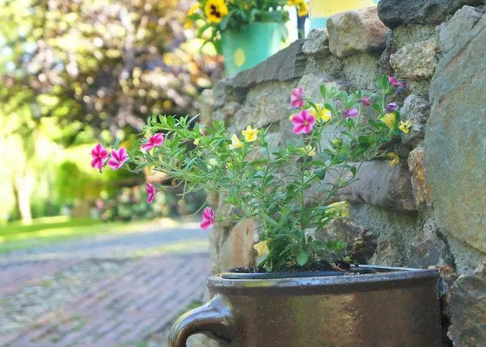 Dom Na Przedgórzu - Z Widokiem Na Góry